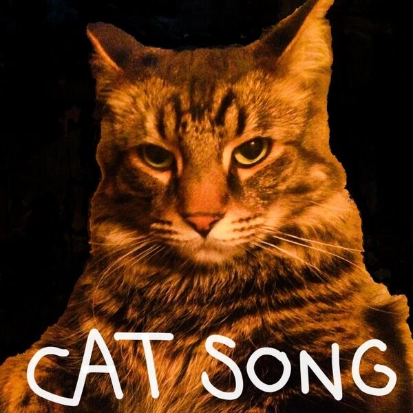 Cover art for Cat Song